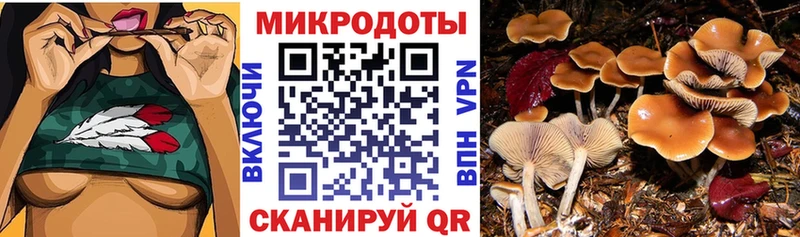 kraken ТОР  Чапаевск  Галлюциногенные грибы MAGIC MUSHROOMS 
