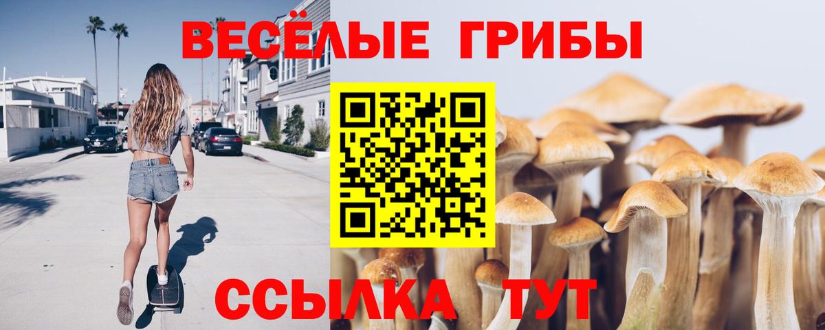 Псилоцибиновые грибы прущие грибы Чапаевск