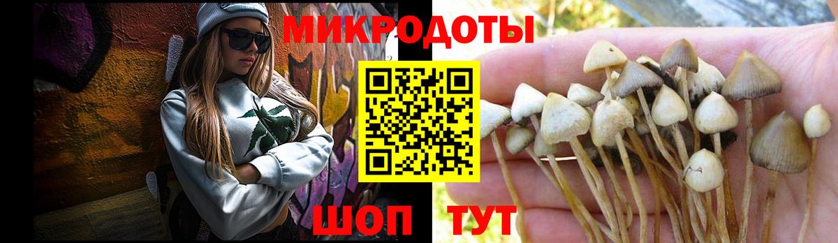 Галлюциногенные грибы Psilocybine cubensis  Вход с VPN  наркошоп  Псилоцибиновые грибы ЛСД  Чапаевск 